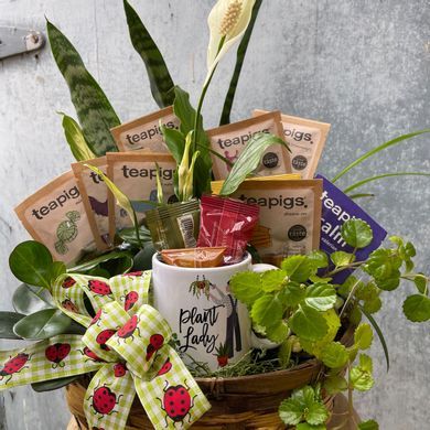 Plant Lover's Escape